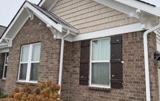 mold free exterior paint